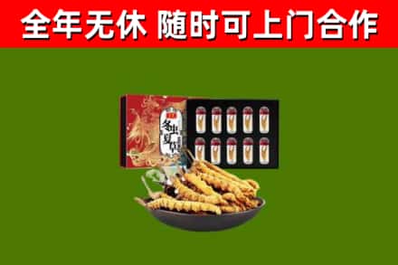 鄂州市回收冬虫夏草价格
